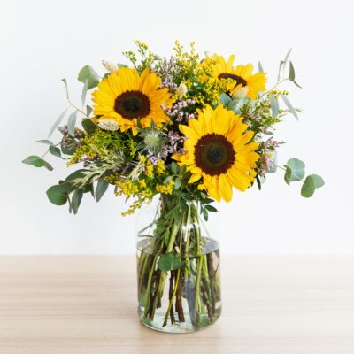 3 GIRASOLI