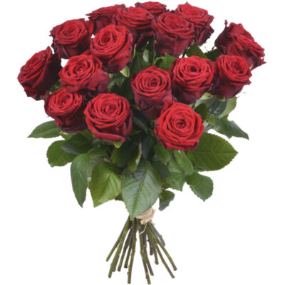 12 ROSE ROSSE