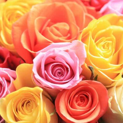 COMPONI IL TUO MAZZO DI ROSE