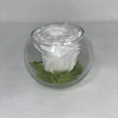 SFERA ETERNA- White