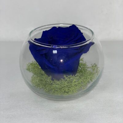 SFERA ETERNA- Blue