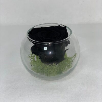 SFERA ETERNA- Black