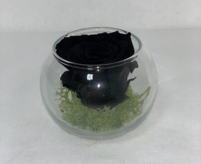 SFERA ETERNA- Black