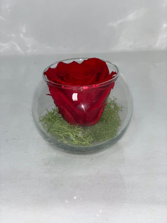 SFERA ETERNA- Red