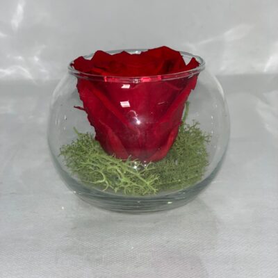 SFERA ETERNA- Red