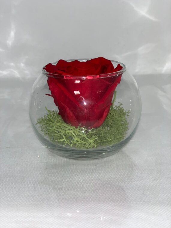 SFERA ETERNA- Red