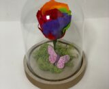 ETERNALROSE- Rainbow