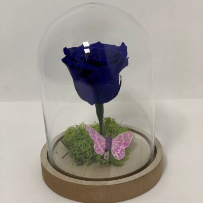 ETERNALROSE- Blue