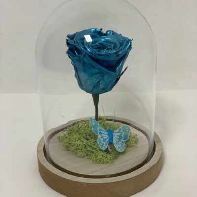 ETERNALROSE- Metallic Blue