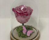 ETERNALROSE- Metallic Pink