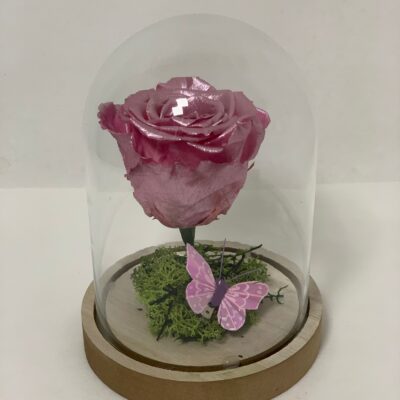 ETERNALROSE- Metallic Pink