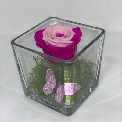 ETERNALCUBE- Fucsia and Rose