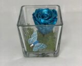 ETERNALCUBE- Metallic Blue