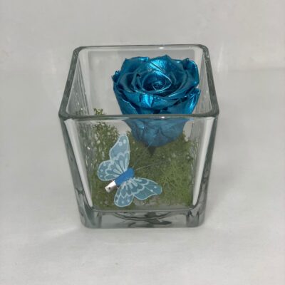 ETERNALCUBE- Metallic Blue