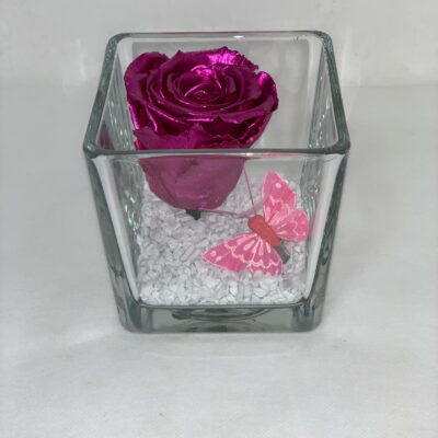 ETERNALCUBE- Metallic Pink