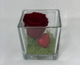 ETERNALCUBE- Red Love