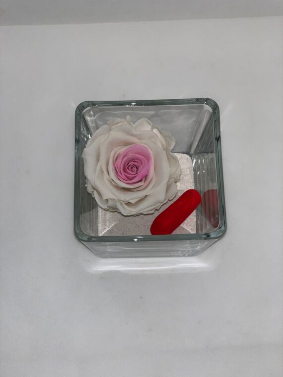 ETERNALCUBE- White and Rose