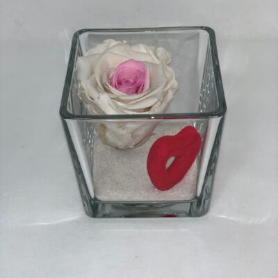 ETERNALCUBE- White and Rose