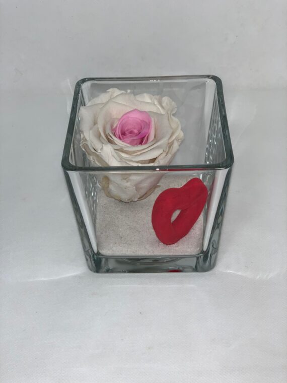 ETERNALCUBE- White and Rose