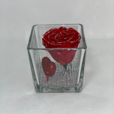ETERNALCUBE- Red and Silver