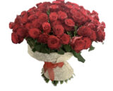 100 ROSE ROSSE